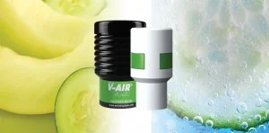 cucumber-melon-868px-428px
